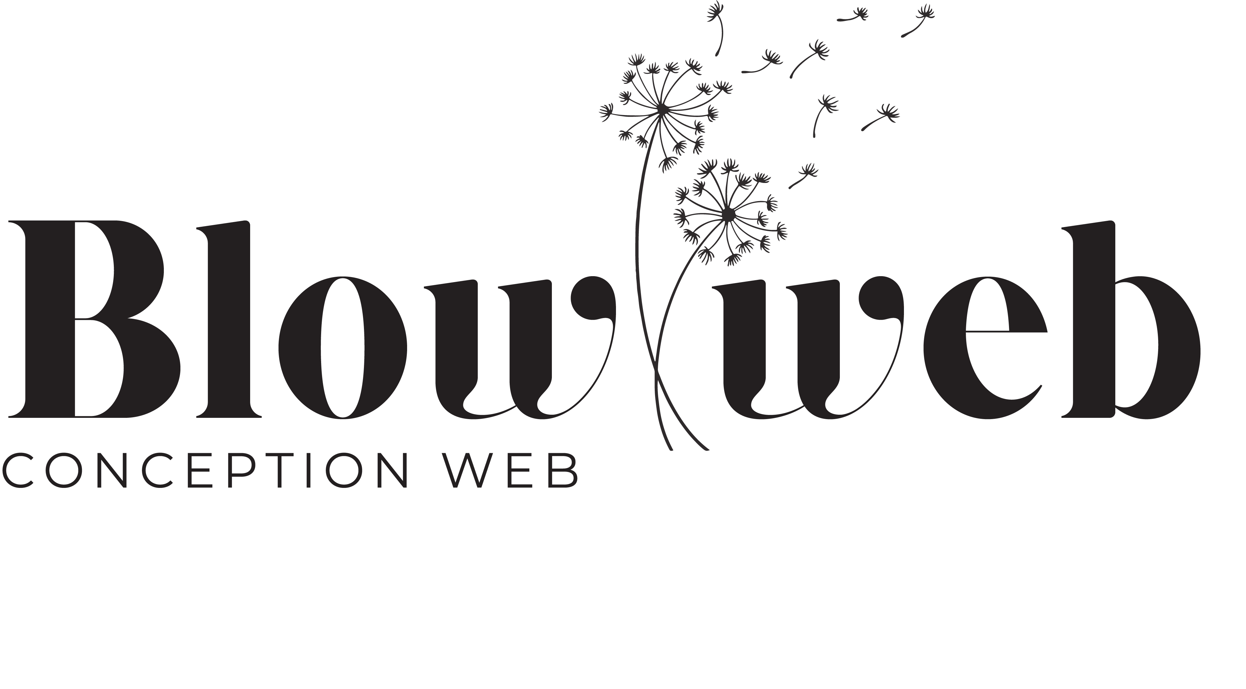 Blow Web